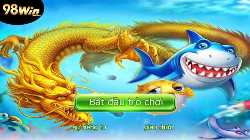 cach-bat-dau-choi-ban-ca-doi-the-cao
